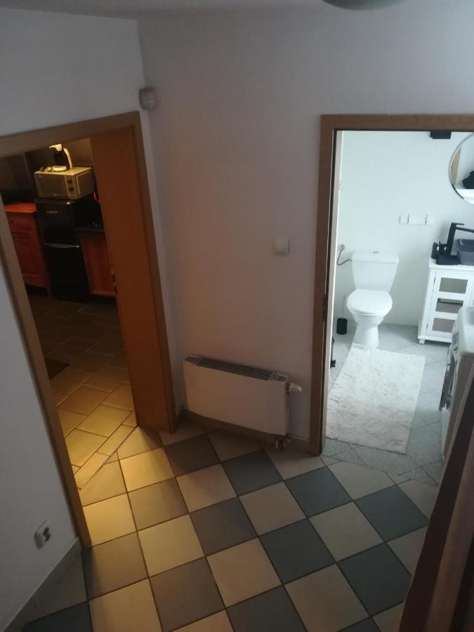 Central Point Apartment Zielona Góra Exterior foto